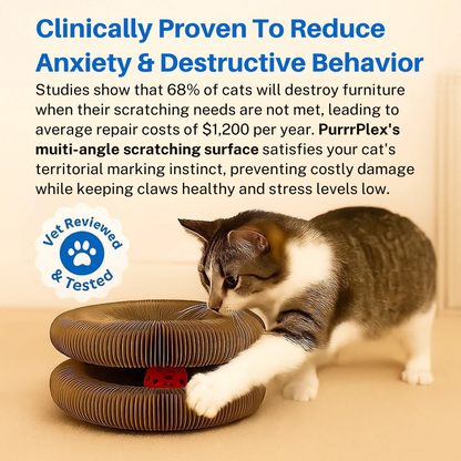 PurrPlex Magic Accordion Cat Scratcher